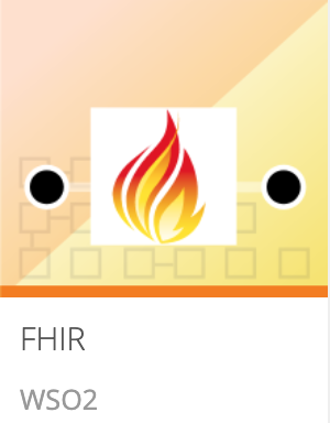 FHIR Connector Store