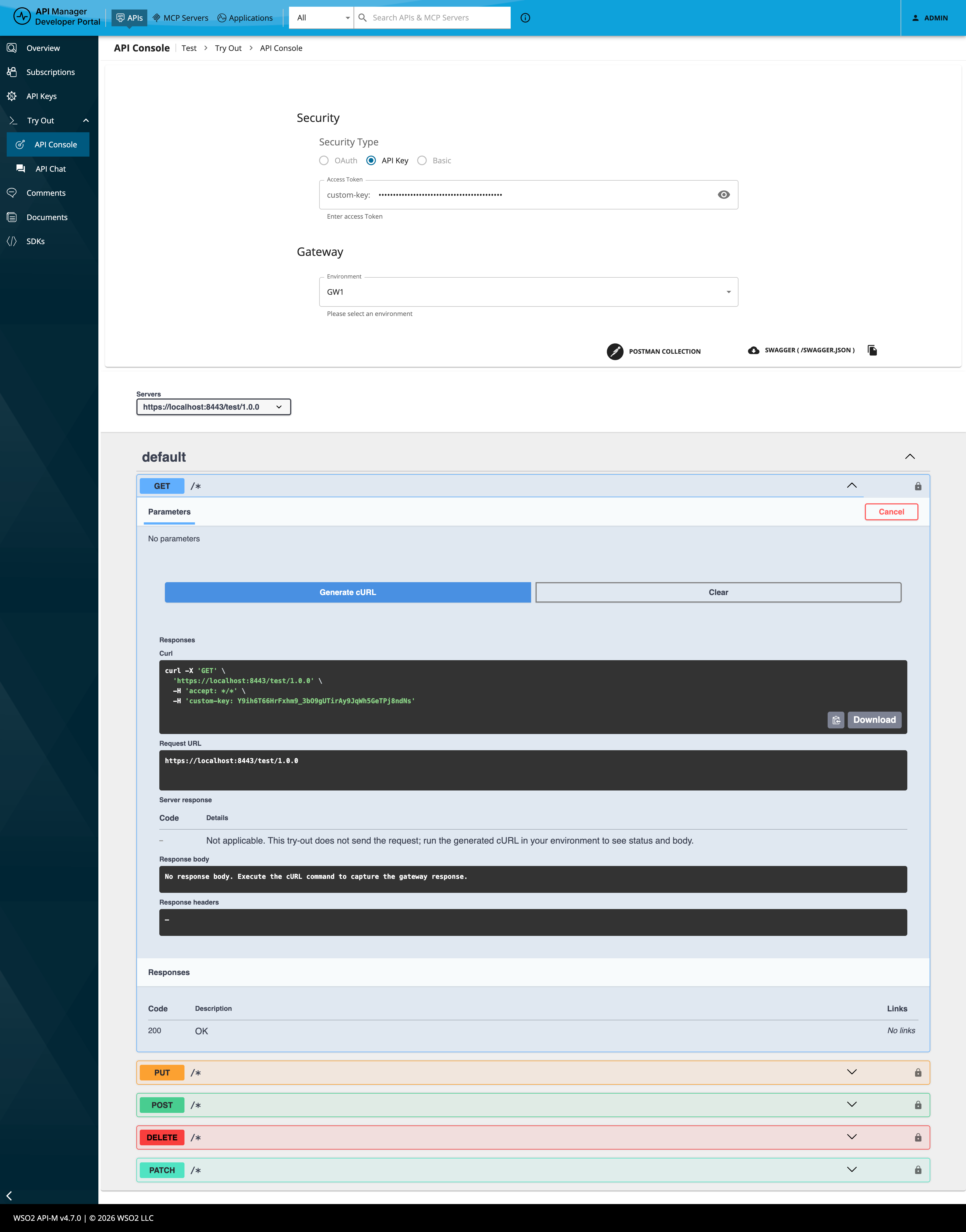 Generated cURL from Try out including the API key header
