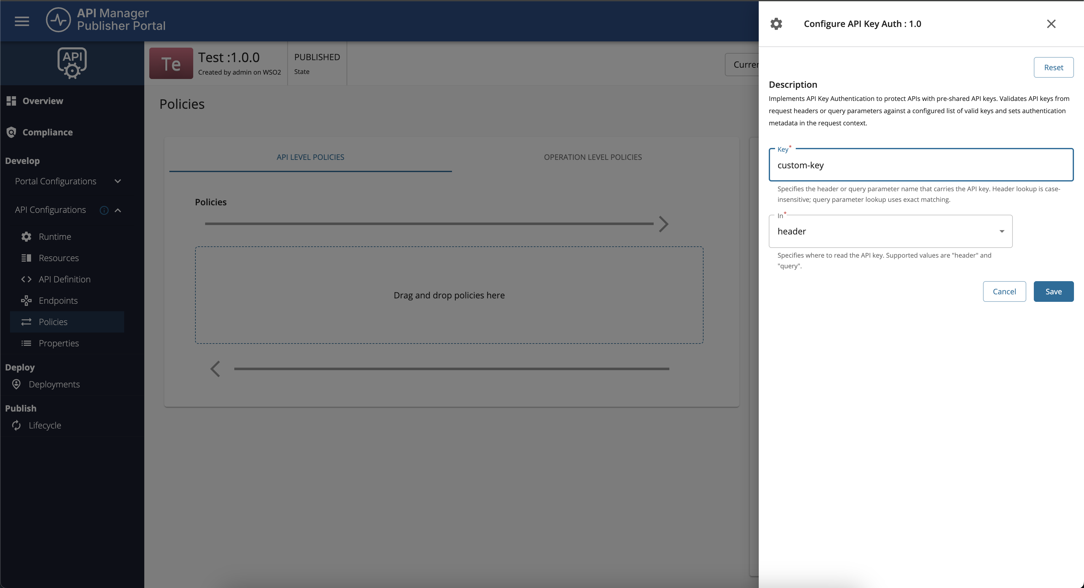 API Key policy with a custom API key header name